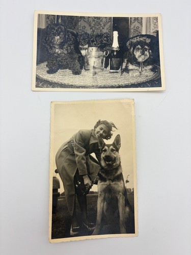 Vintage real photo postcards - 2,
