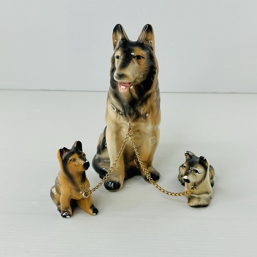German shepherd dog - german, family