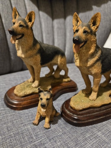 Sherratt simpson german - &,